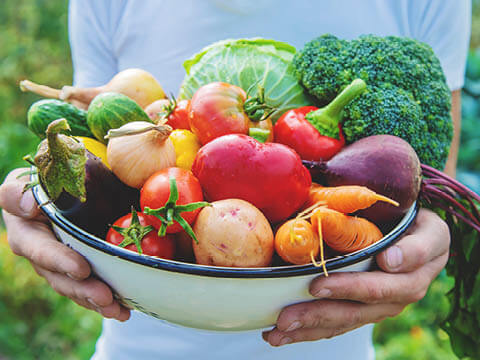 img-news-Frutta e verdura di stagione-480x360px