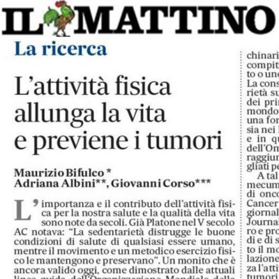 Il mattino luglio 2024-img